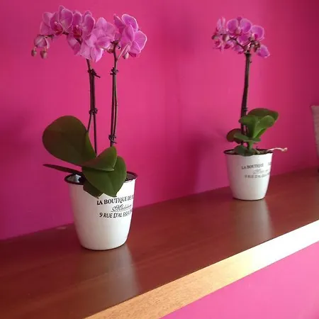 Benacus 酒店 拉齐塞