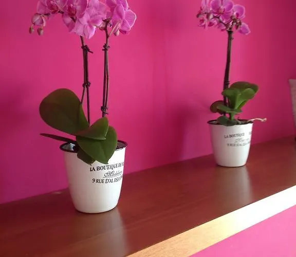 Benacus Hotel Lazise